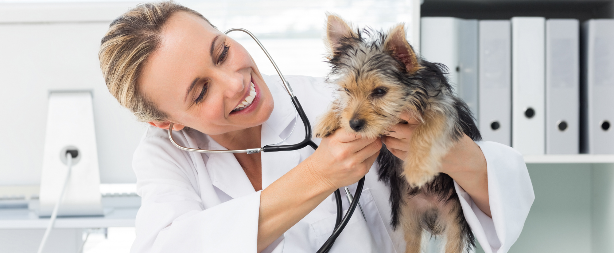 vet